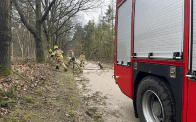 Uitrukmelding 7 | Stormschade