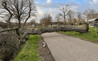 Uitrukmelding 02 | Stormschade