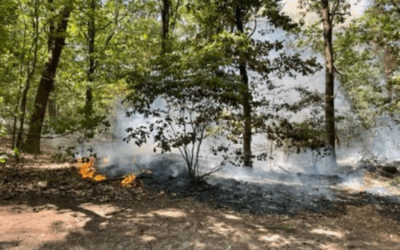 Uitrukmelding 25 | Brand natuur