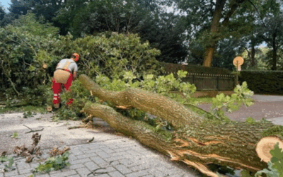 Uitrukmelding 41 | Stormschade