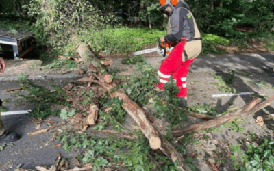 Uitrukmelding 39 | Stormschade