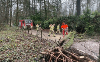 Uitrukmelding 03 | Stormschade