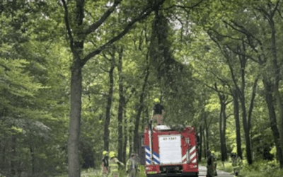 Uitrukmelding 25 | Stormschade