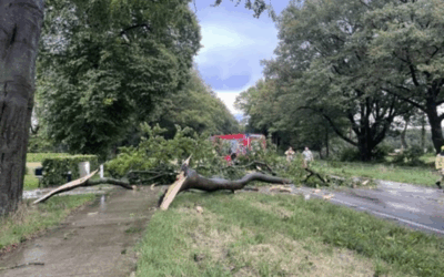 Uitrukmelding 32 | Stormschade