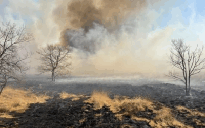 Uitrukmelding 13 | Brand