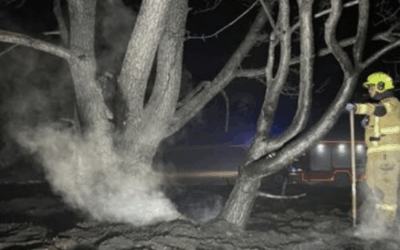 Uitrukmelding 14 | Brand bos