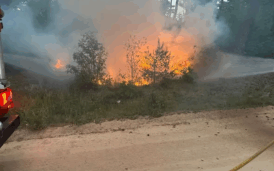 Uitrukmelding 29 | Brand bos