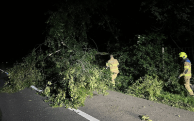 Uitrukmelding 35 | Stormschade