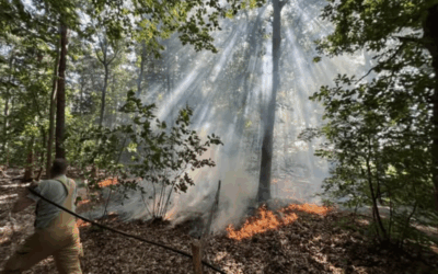 Uitrukmelding 38 | Brand bos