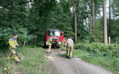 Uitrukmelding 45 | Stormschade