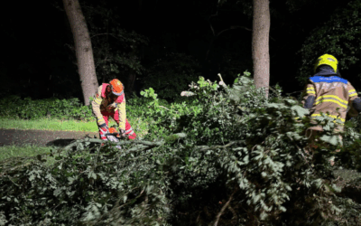 Uitrukmelding 49 | Stormschade