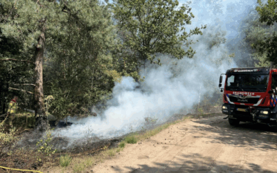 Uitrukmelding 51 | Brand bos