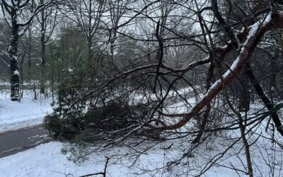 Uitrukmelding 4 | Stormschade