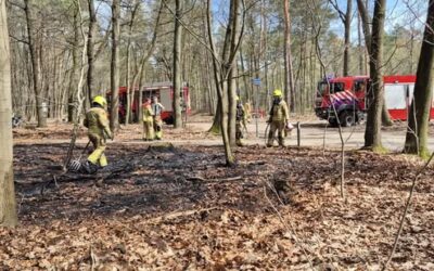 Uitrukmelding 19 | Natuurbrand
