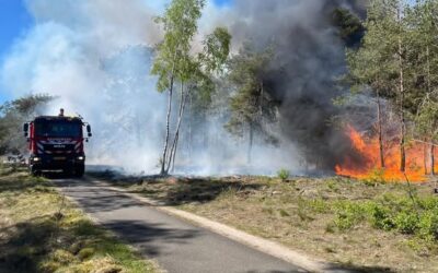 Uitrukmelding 25 | Bosbrand