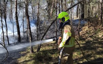 Uitrukmelding 27 | Bosbrand