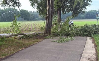 Uitrukmelding 32 | Stormschade