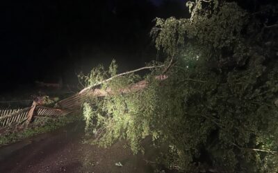 Uitrukmelding 35 | Stormschade