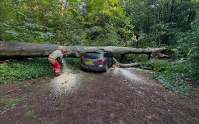Uitrukmelding 40 | Boom over auto