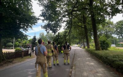 Uitrukmelding 43 | Stormschade
