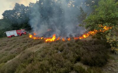 Uitrukmelding 48 | Heide brand