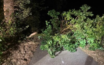 Uitrukmelding 53 | Stormschade